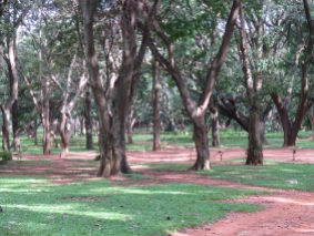 More of Cubbon Park. I visited the park several times, as it was a quick walk from the hotel.