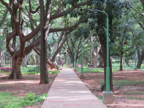 Still Cubbon Park. This has been a protected green space for over 150 years.